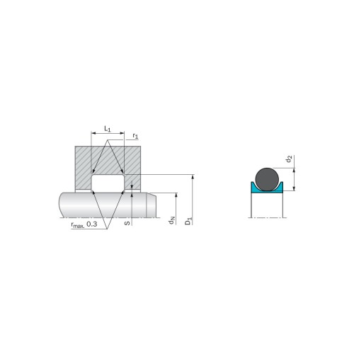 RDD300550-T05V