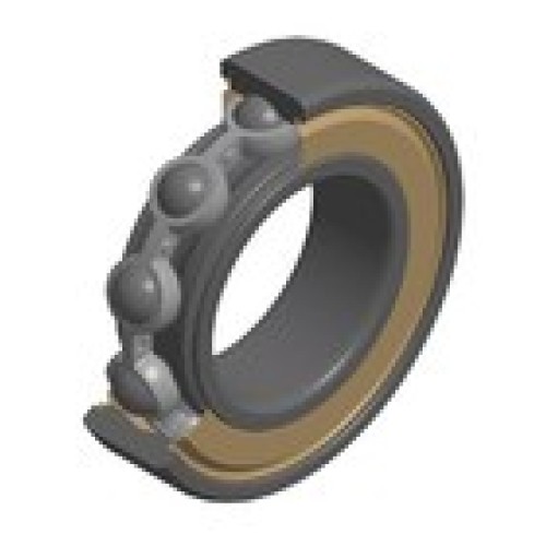 6000ZZC4/15A
