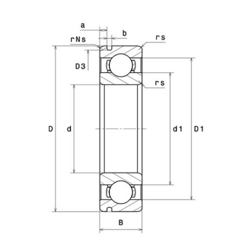 6010N