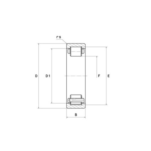 RUS211EG1